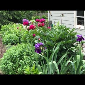 Meet your Posher, Kristen